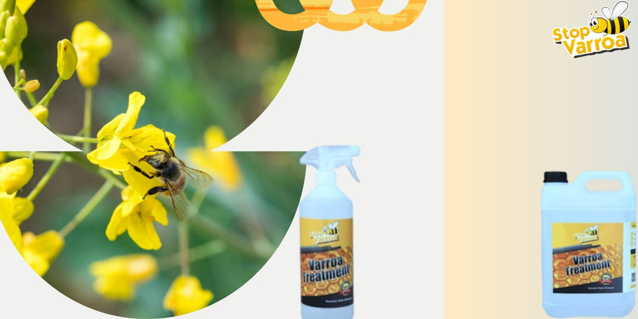 Antecipar a presença de Varroa e proteger eficazmente as nossas abelhas