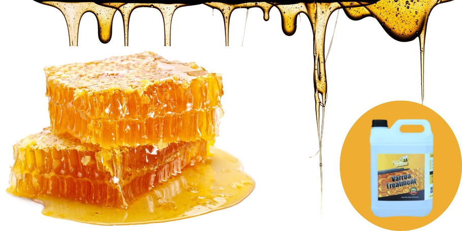 Apicultura: Alerta de queda na produção de mel!