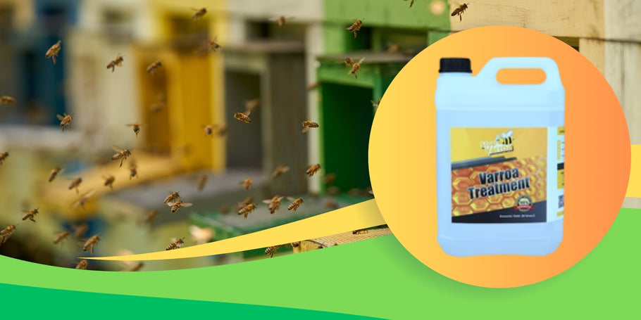 Descubra Stop Varroa, o tratamento anti-varroa eficaz e sem riscos que tem procurado!