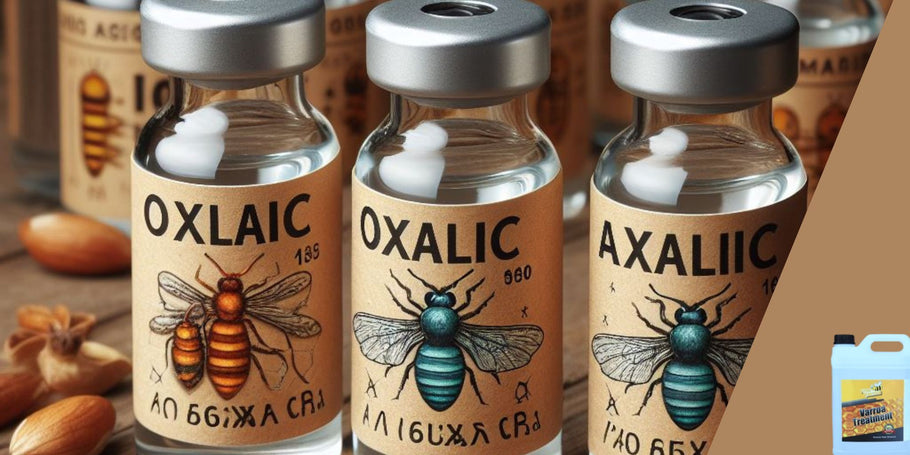 Combate à Varroa: Tratamento com ácido oxálico, uma alternativa promissora