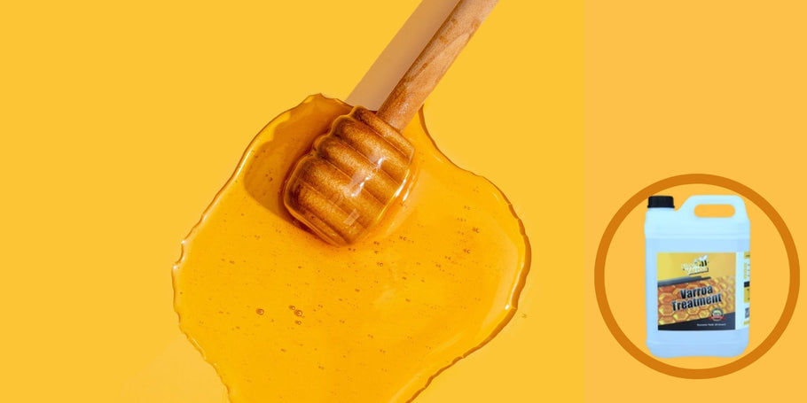 O mistério do mel desaparecido: diagnosticar os problemas de produção do seu mel
