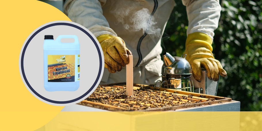 Luta contra os ácaros Varroa: momentos-chave para proteger a saúde das abelhas