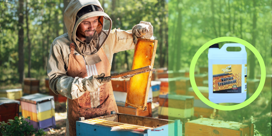 Tratamento anti-varroa: Proteja as suas abelhas e aumente a sua produção de mel