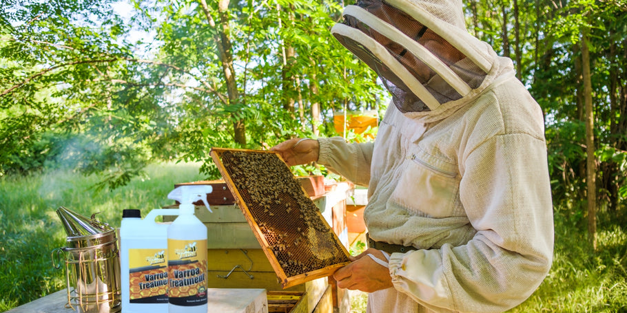 Varroa: uma ameaça para as abelhas, soluções para os apicultores